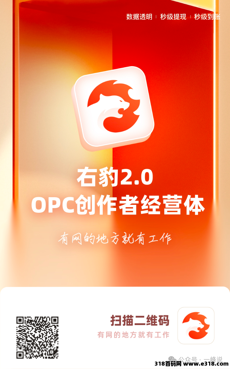 右豹邀请码相关截图1
