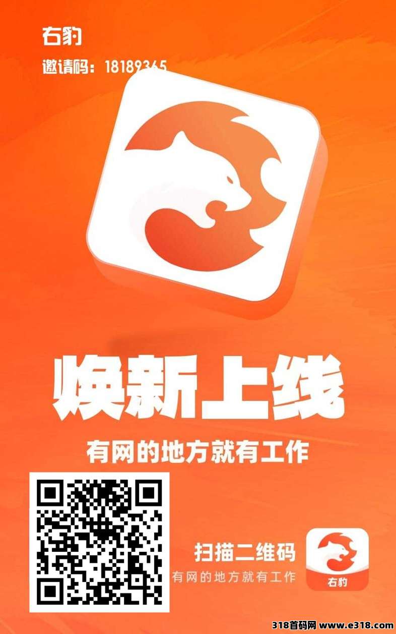 右豹平台介绍相关截图3