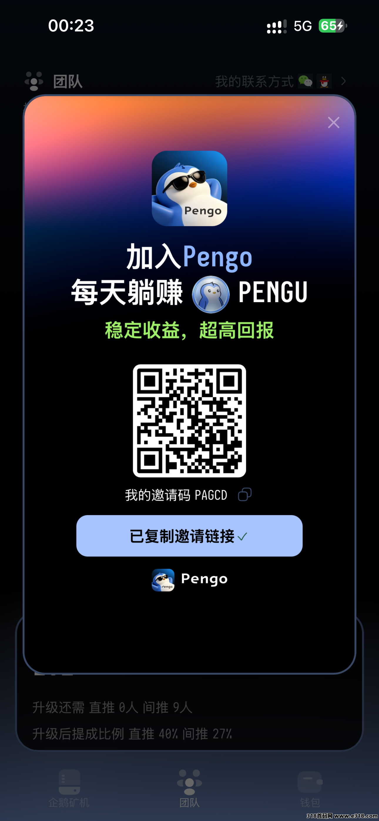 正文图片