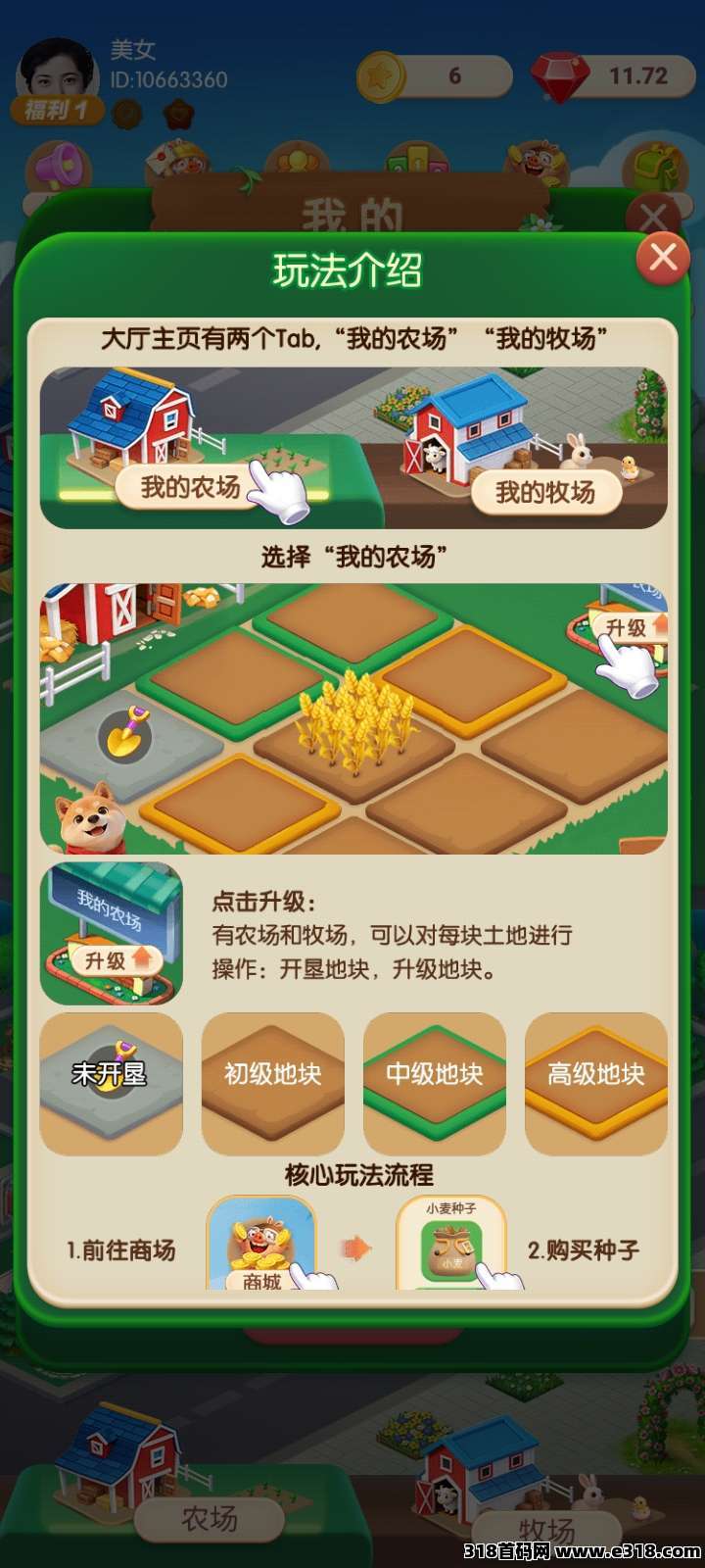 正文图片