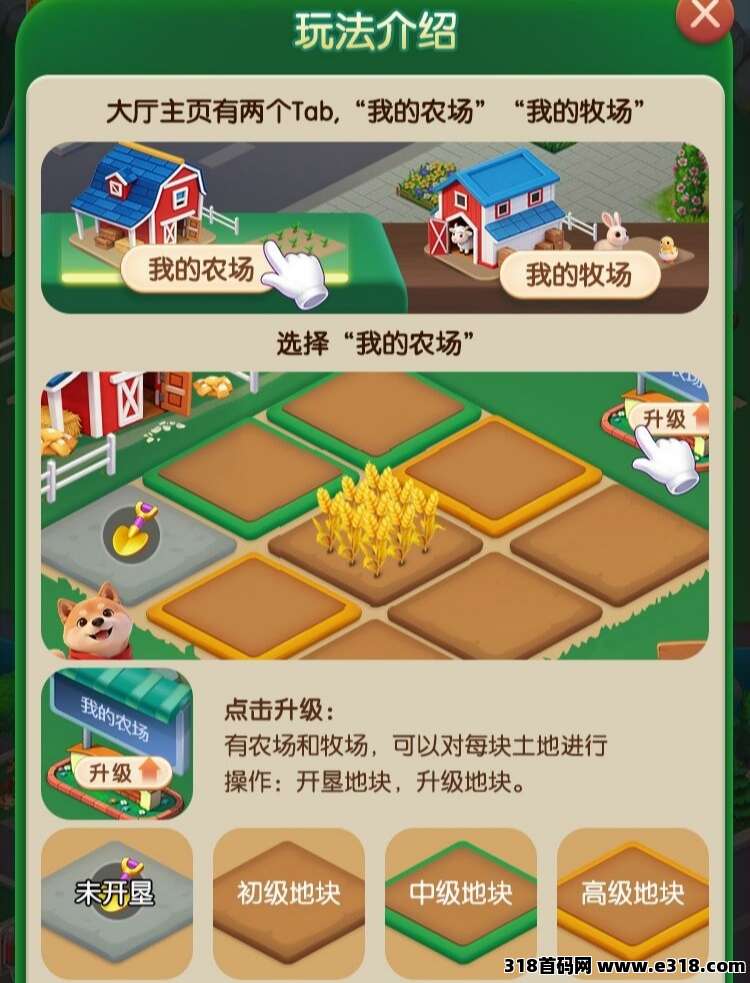 正文图片